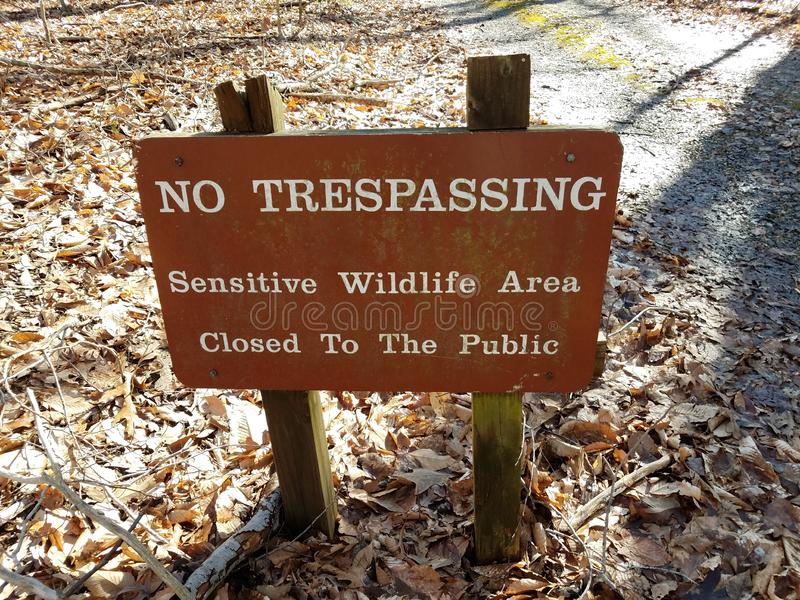 Forest trespassing is a major threat to wildlife.