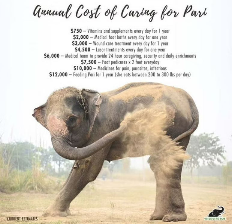 The estimated annual costs while Caring for Pari