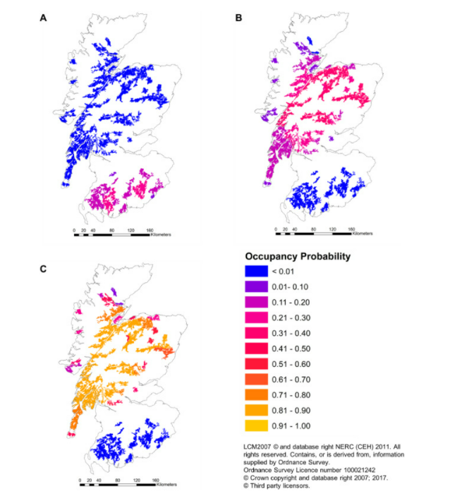 Which sites in Scotland are the best for the reintroduction of the Eurasian Lynx?
