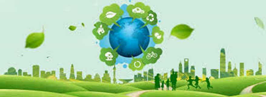 How to achieve sustainable development through green business strategy?