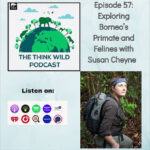 The Think Wildlife Podcast