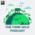 The Think Wildlife Podcast