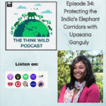 The Think Wildlife Podcast